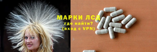 эйфоретик Беломорск
